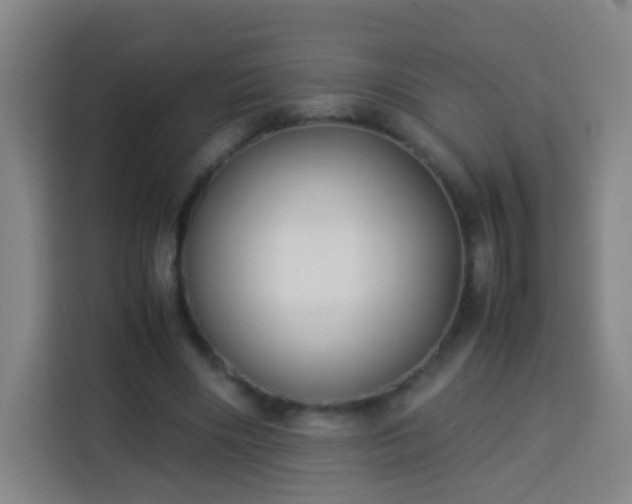 X0000113930490200910021245