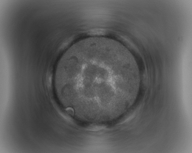 X0000113930491200910021245