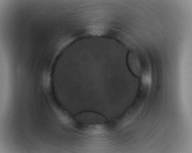 X0000113930492200910021245