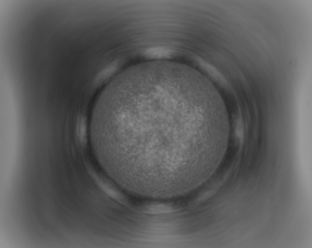 X0000113930494200910021245