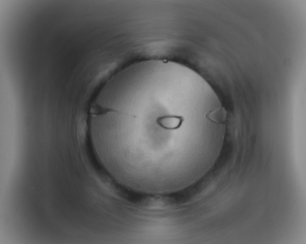 X0000113930495200910021245