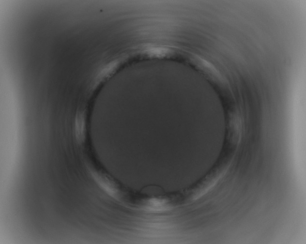 X0000113930496200910021245