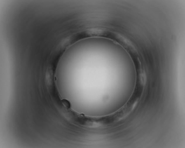 X0000113930498200910021245