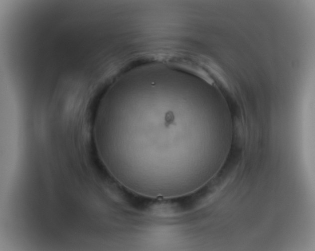 X0000113930499200910021245