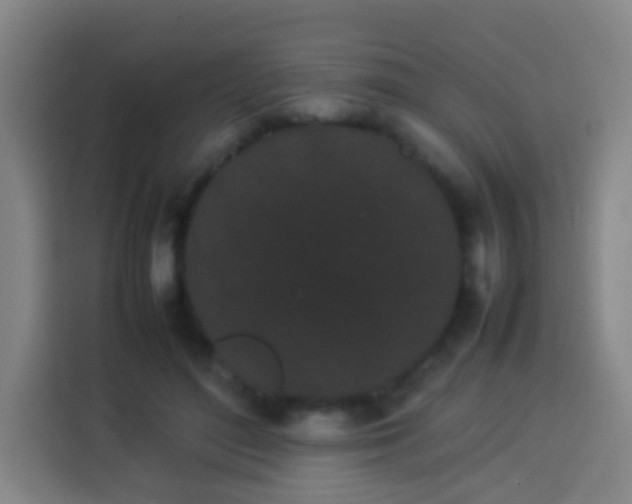 X0000113930500200910021245