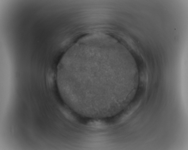 X0000113930503200910021245