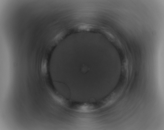 X0000113930504200910021245