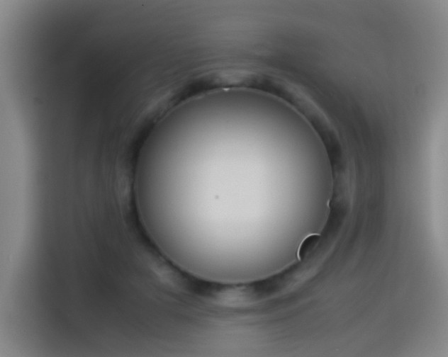 X0000113930505200910021245