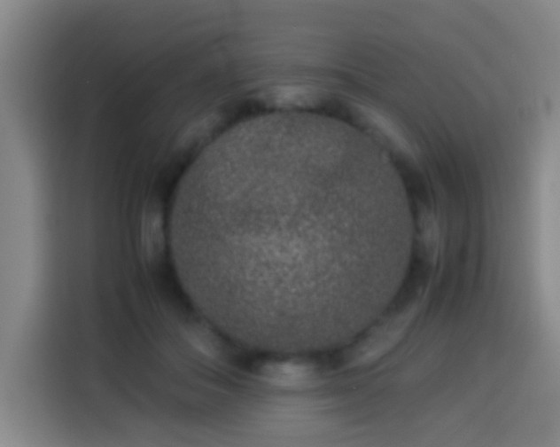 X0000113930506200910021245