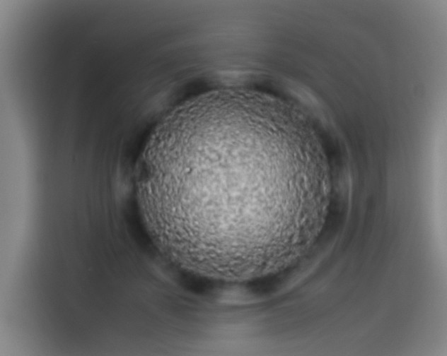 X0000113930507200910021245