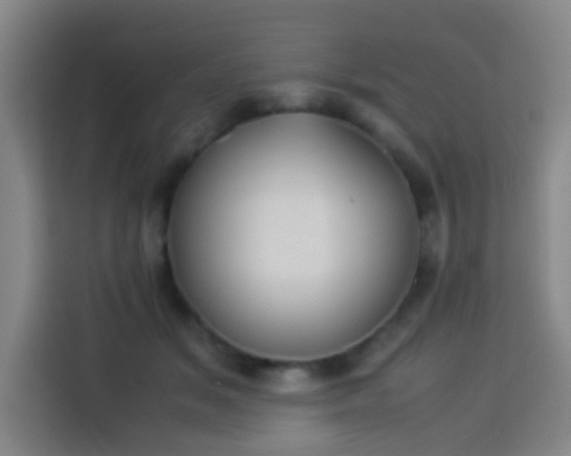 X0000113930509200910021245