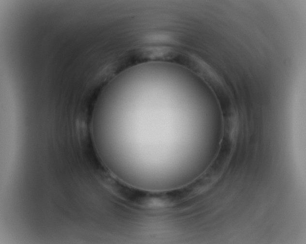 X0000113930510200910021245