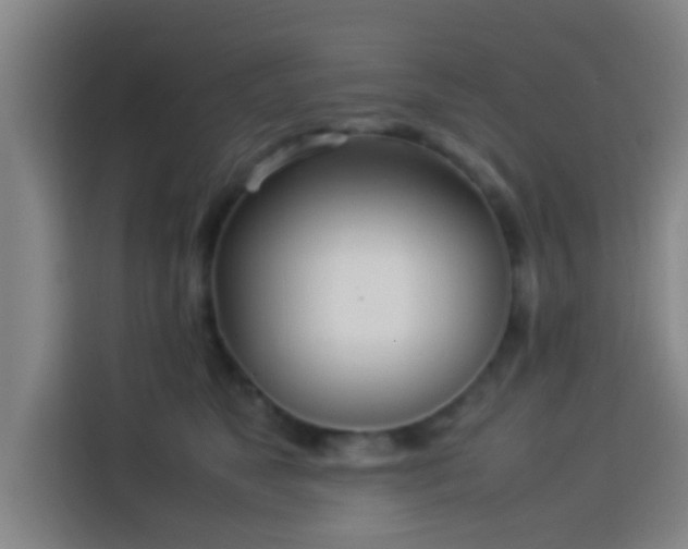 X0000113930517200910021245