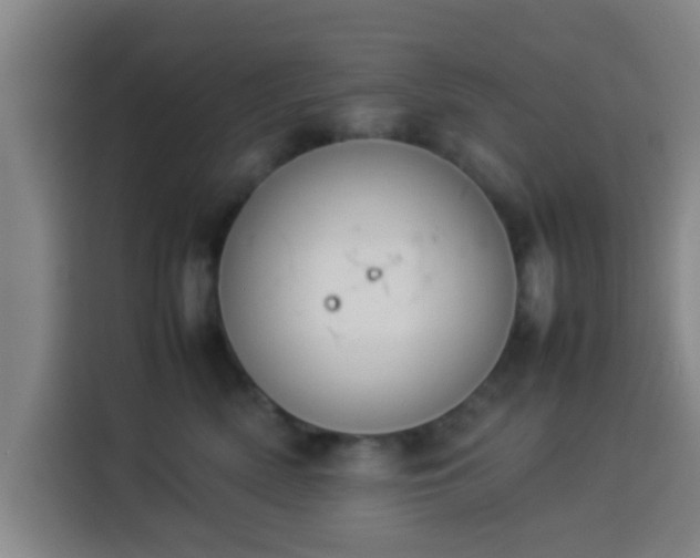 X0000113930522200910021245