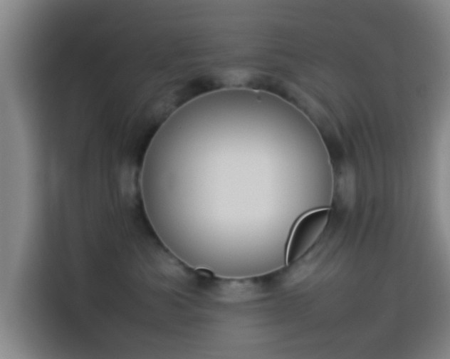 X0000113930525200910021245