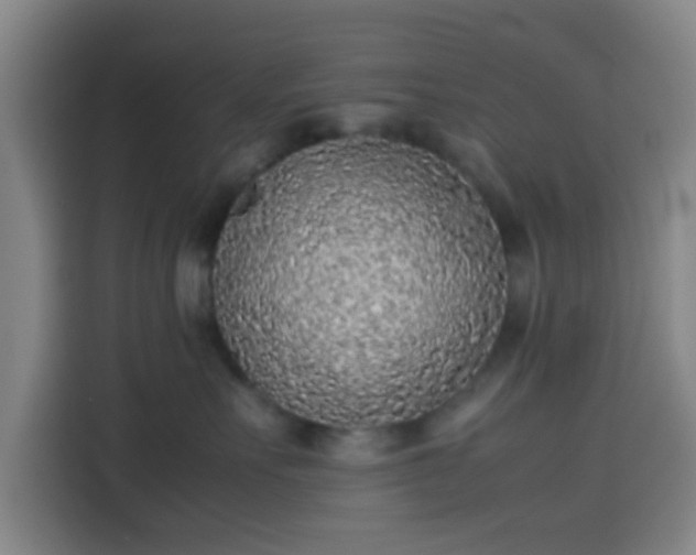 X0000113930527200910021245