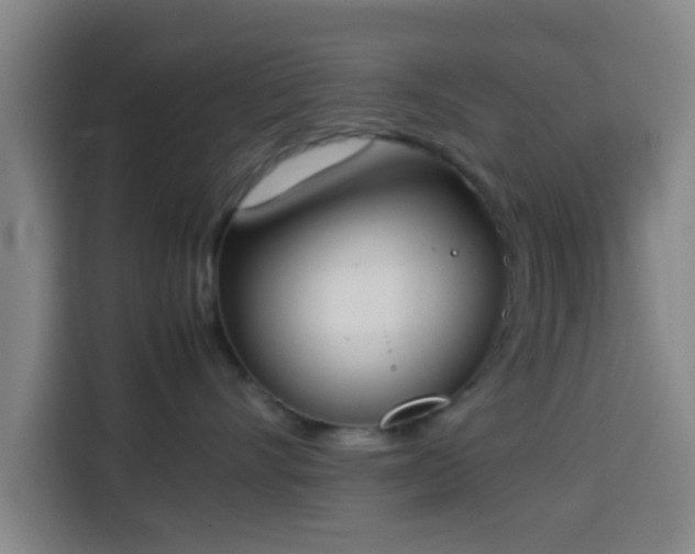 X0000113930528200910021245