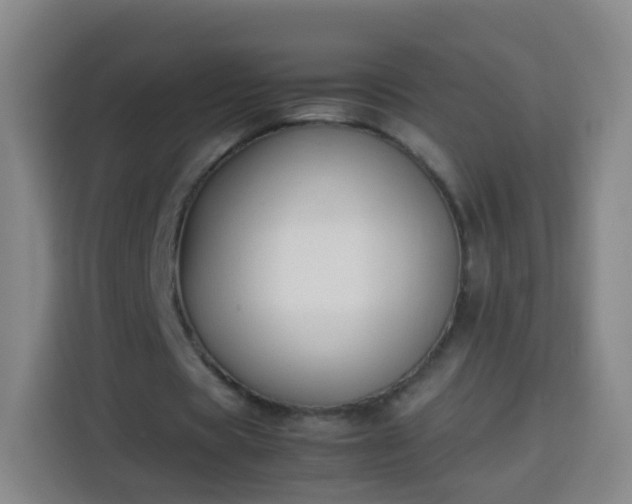 X0000113930529200910021244