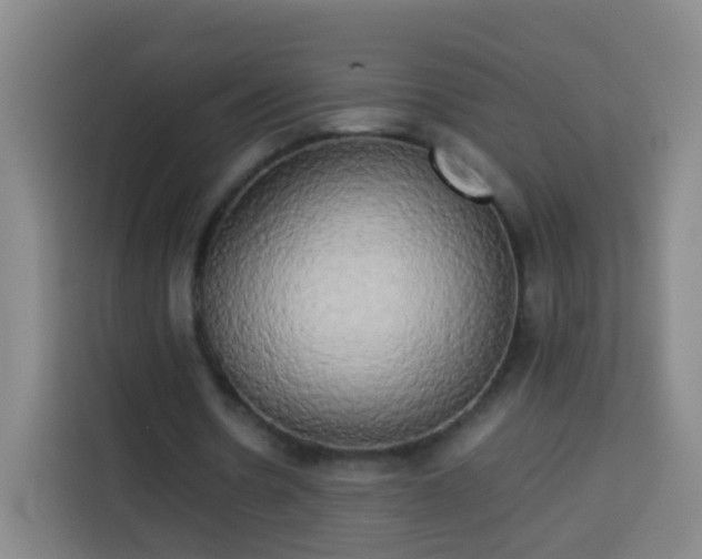 X0000113930530200910021244