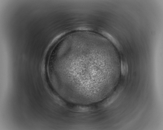 X0000113930531200910021244