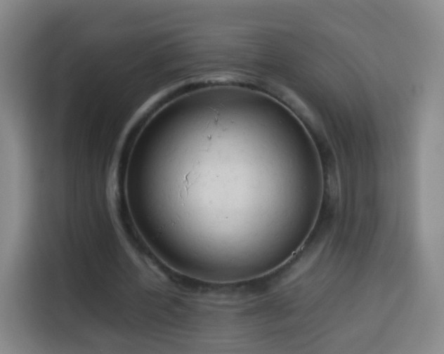 X0000113930532200910021244