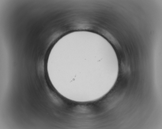 X0000113930534200910021244