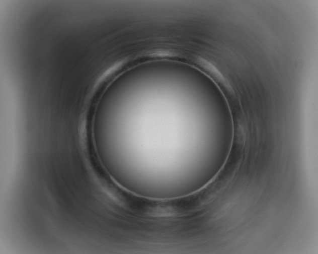 X0000113930535200910021244