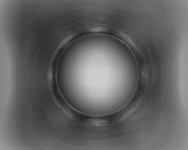 X0000113930539200910021244