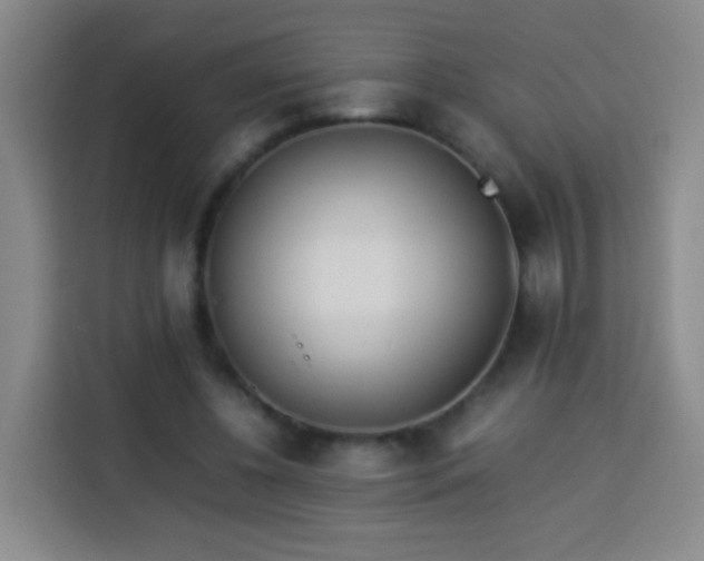 X0000113930540200910021244