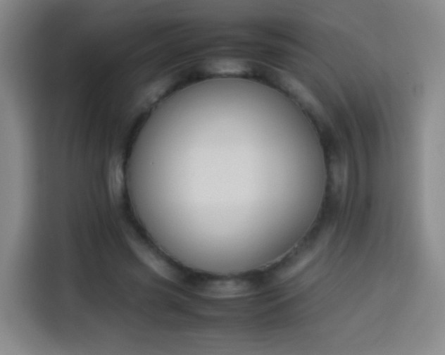 X0000113930541200910021244