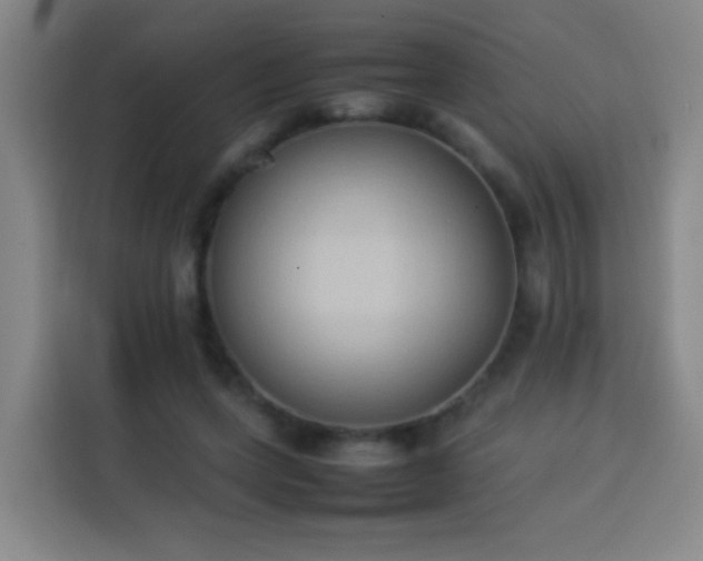 X0000113930543200910021244