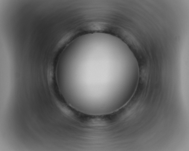 X0000113930544200910021244