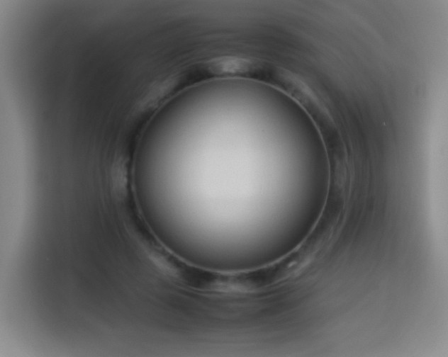 X0000113930545200910021244