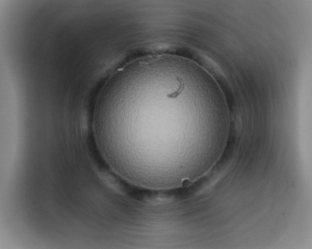 X0000113930546200910021244