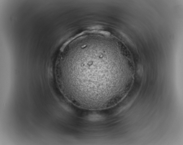 X0000113930547200910021244