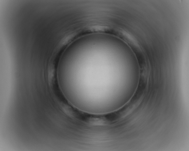 X0000113930548200910021244