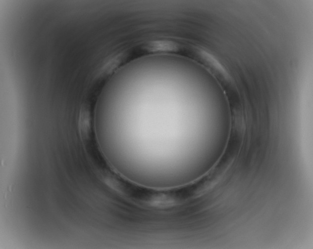 X0000113930549200910021244