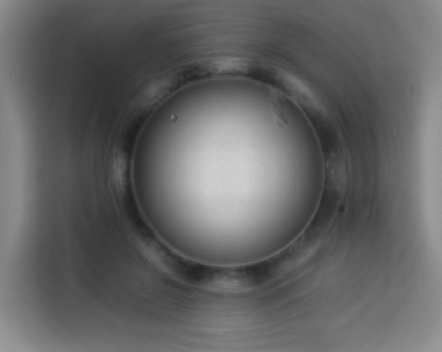 X0000113930550200910021244