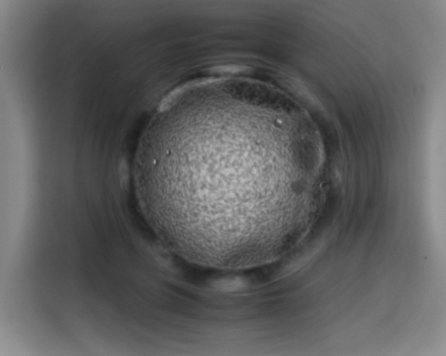 X0000113930551200910021244