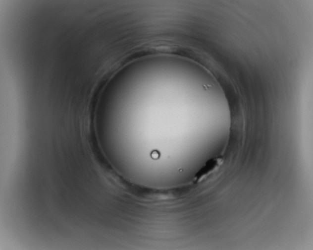 X0000113930552200910021244