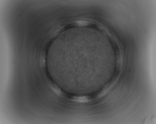 X0000113930553200910021244