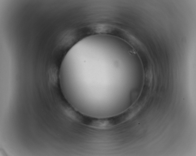 X0000113930554200910021244