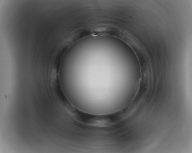 X0000113930555200910021244