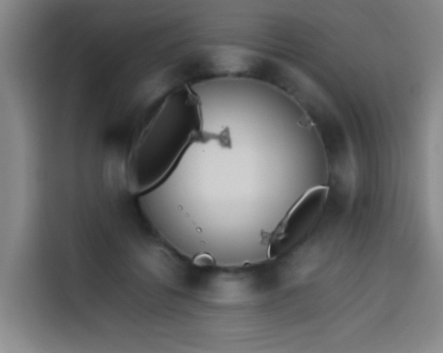 X0000113930556200910021244