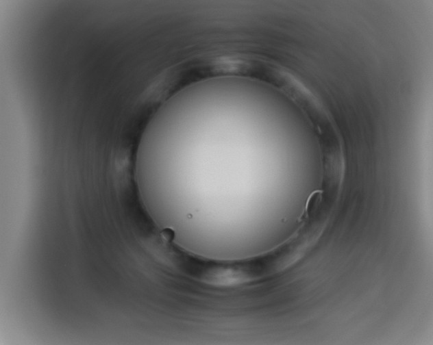 X0000113930557200910021244