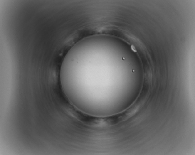 X0000113930558200910021244