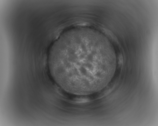 X0000113930559200910021244