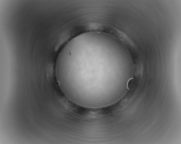 X0000113930560200910021244