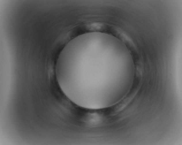 X0000113930561200910021244