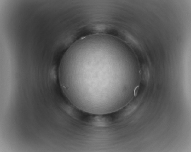 X0000113930562200910021244